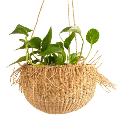 Earthen Craft Catch All - 11" Hanging Planter