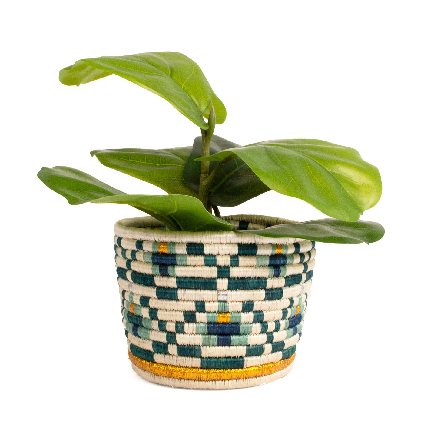 Holiday Planter - 7.5" Tapered Teal