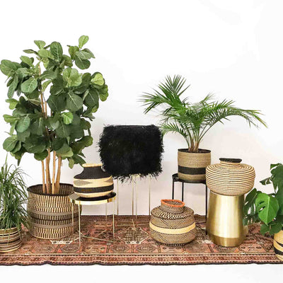 Almasi Black Grass Short Pot